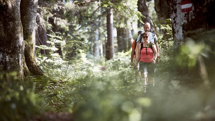 Nationalpark Durchquerung &#40;2 oder 3 Tage&#41;