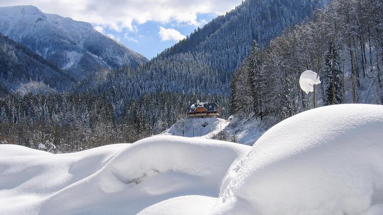 Fürsten in der Wildnis &#40;im Winter&#41;