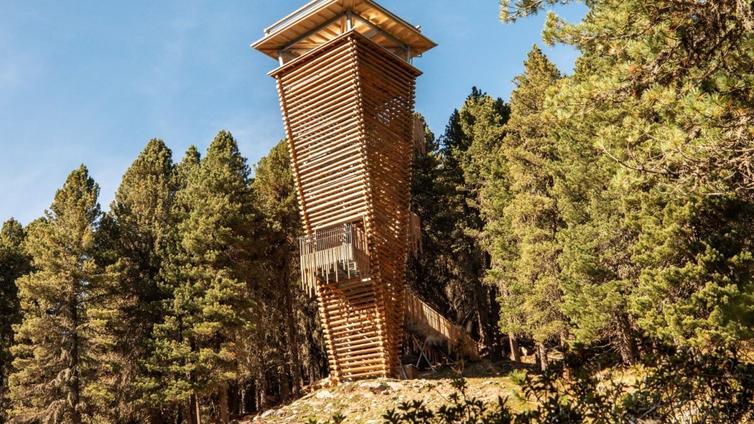 Wildtierbeobachtungsturm - Nature Watch von oben © Siehe Veranstalter Wildtierbeobachtungsturm - Nature Watch von oben