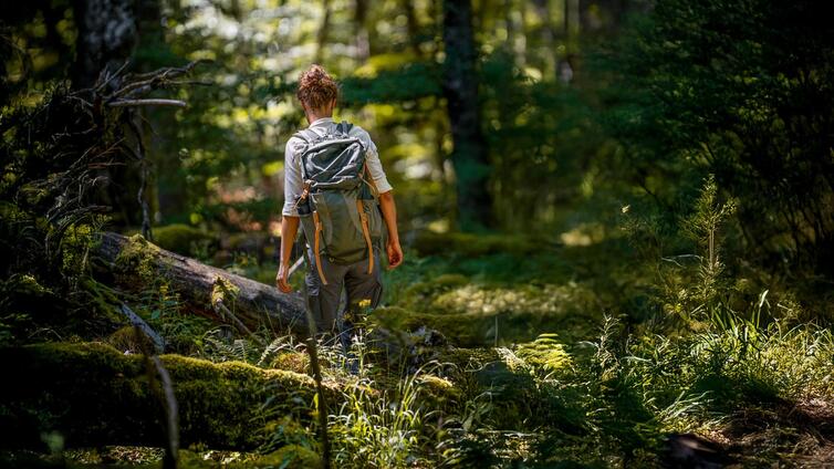 Frauen in der Wildnis &#40;3 Tage&#41;