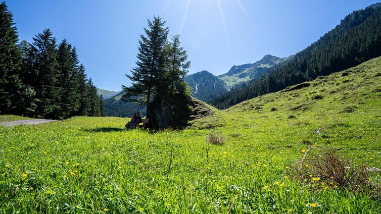 In das Weichselbachtal