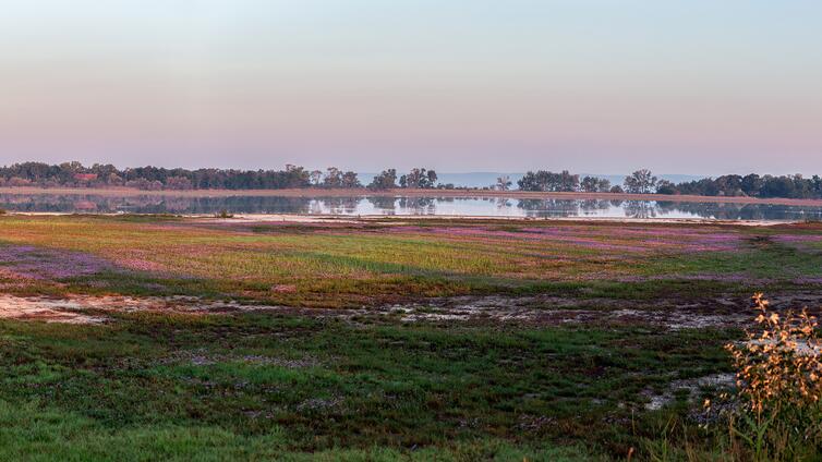 Herbst im Nationalpark