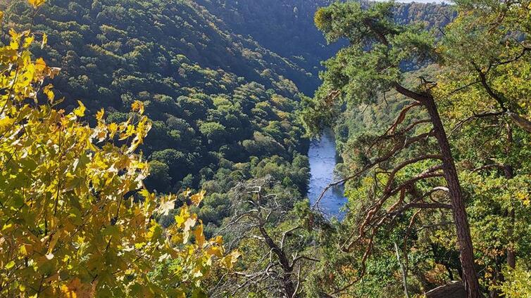 Zwischen Wildnis und alter Kulturlandschaft