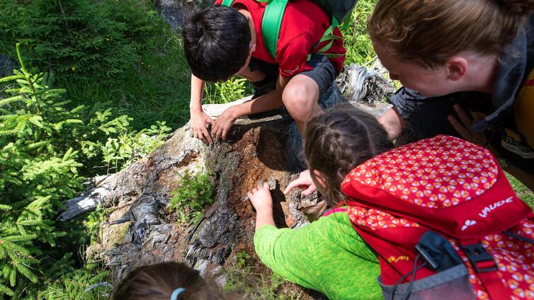 Hand in Hand ins Entdeckerland - Familientour