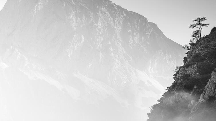Forms of Xeis - Fotokurs HERBST 14.11.-16.11.2025 © Siehe Veranstalter Forms of Xeis - Fotokurs HERBST 14.11.-16.11.2025