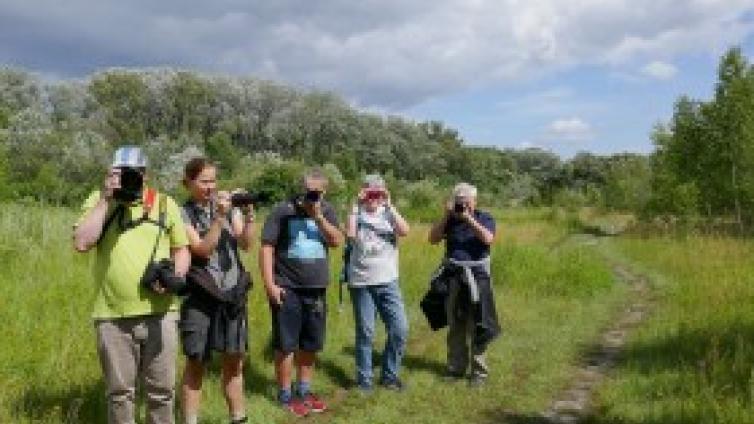 Fotokurs Naturfotografie im Nationalpark Donau-Auen
