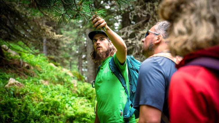 Dem Wurfbach entlang