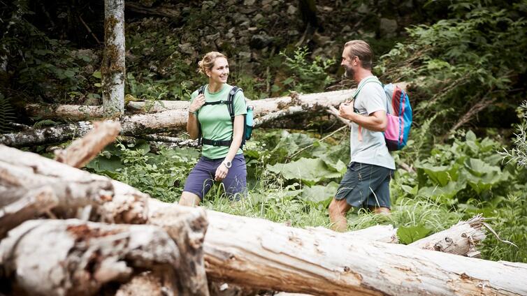 Wildnis, Wald & Du! (3 Tage) © Siehe Veranstalter Wildnis, Wald & Du! (3 Tage)