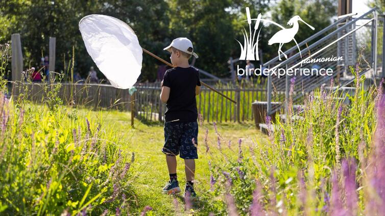 BEX - Next Generation