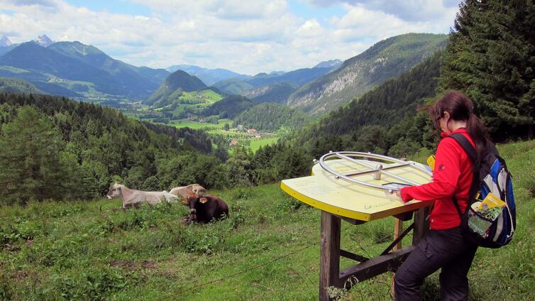 Am Natur-Spuren-Weg zum Panoramaturm Wurbauerkogel