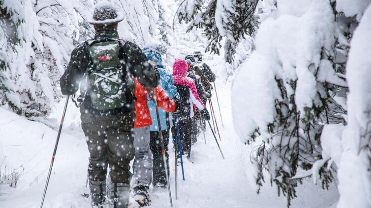 Der Nationalpark Gesäuse kurz und bündig im Winter