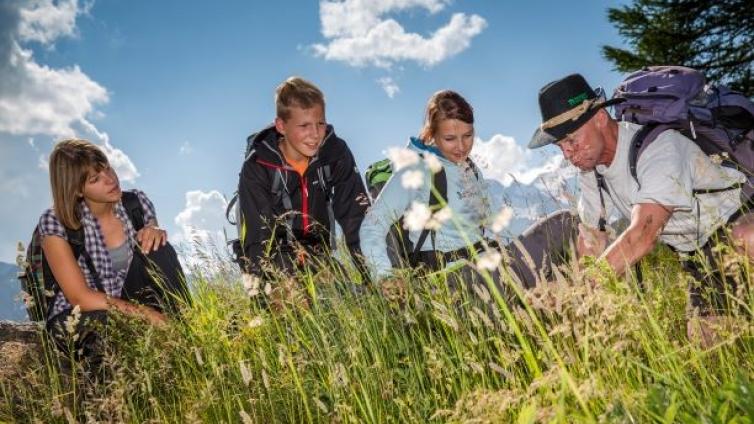 Kräuterwanderung Heiligenblut © Siehe Veranstalter Kräuterwanderung Heiligenblut