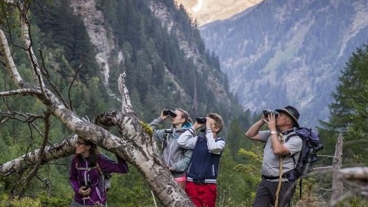 Wildnistour: Dem Rotwild auf der Spur © Siehe Veranstalter Wildnistour: Dem Rotwild auf der Spur