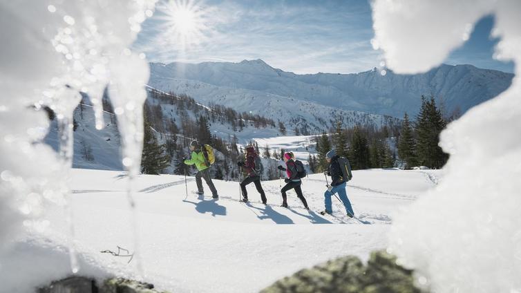Nature Watch - Auf Spurensuche im Defereggental © Siehe Veranstalter Nature Watch - Auf Spurensuche im Defereggental