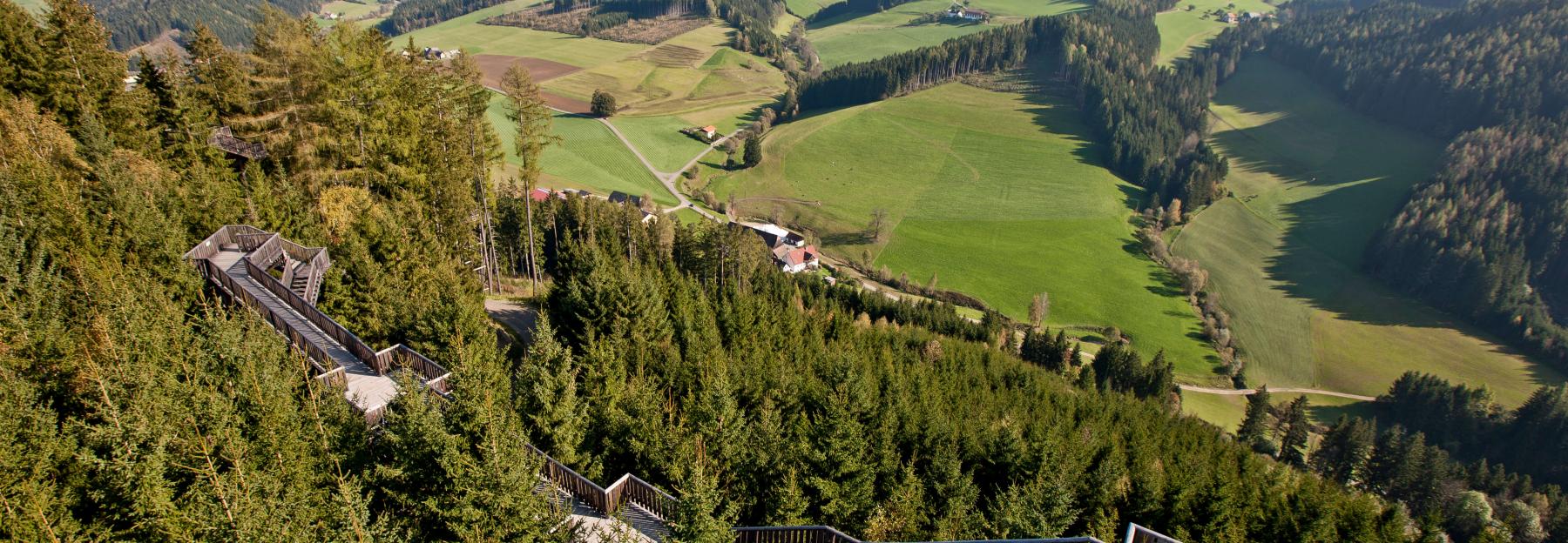 Wipfelwanderweg