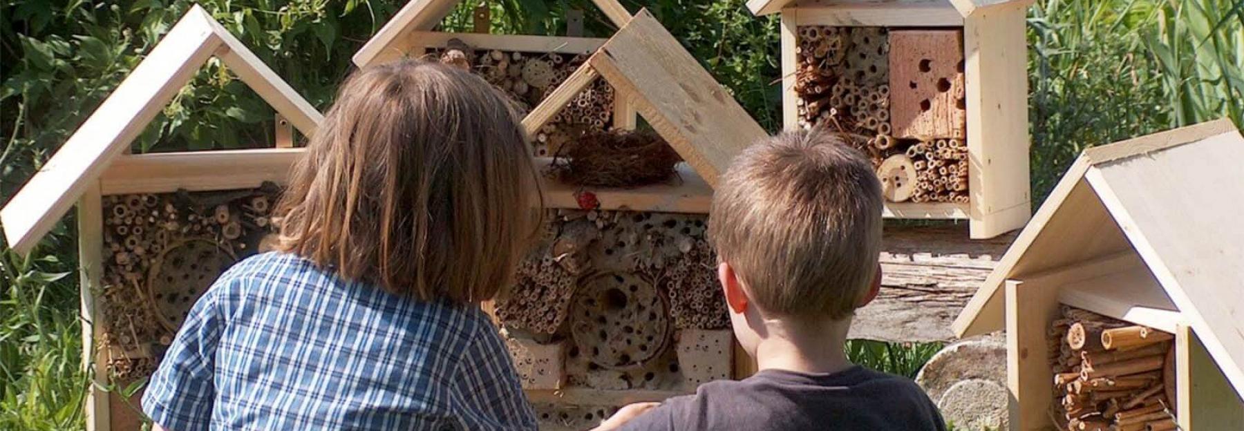 Insektenhotel selber bauen