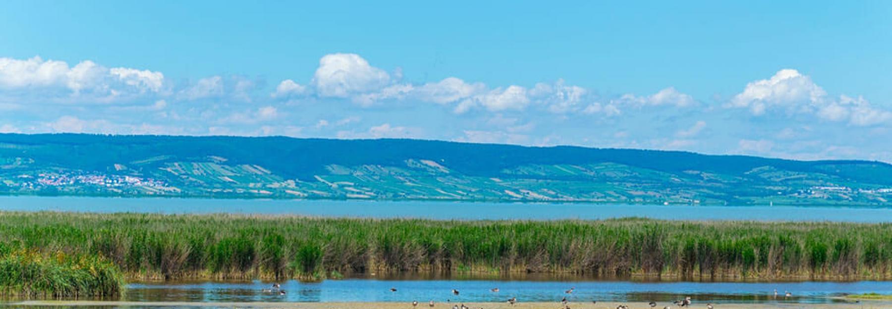 Neusiedlersee