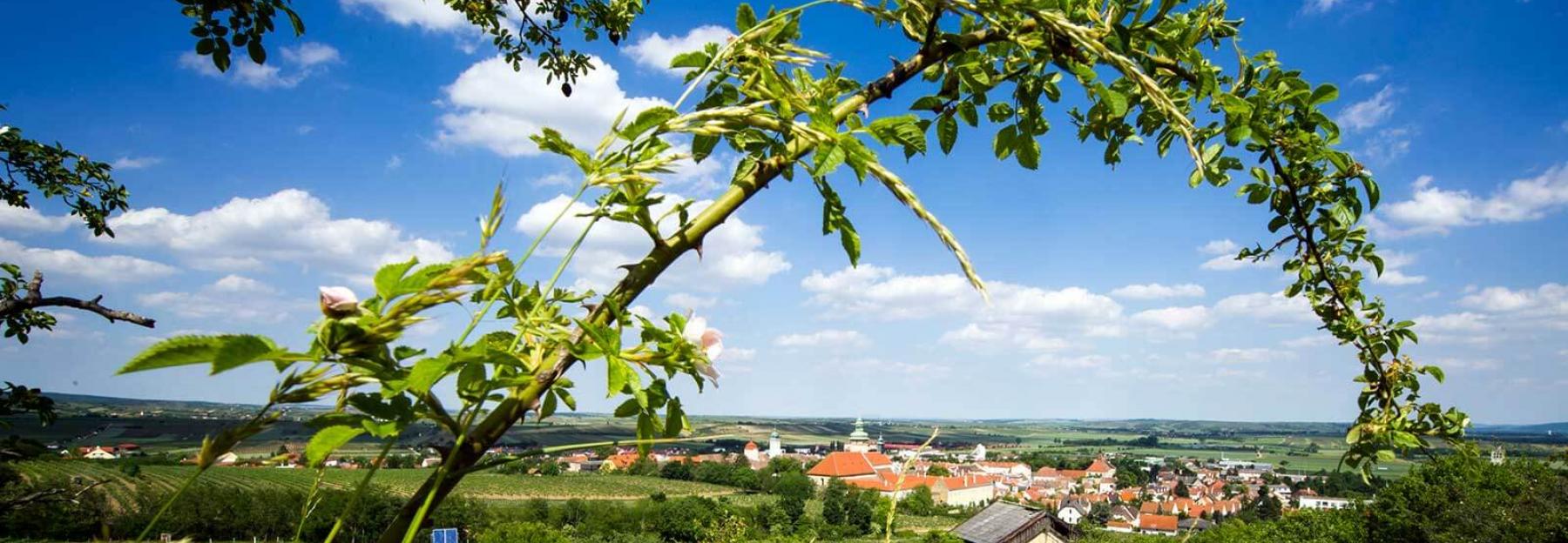 Naturschutz in der Gemeinde