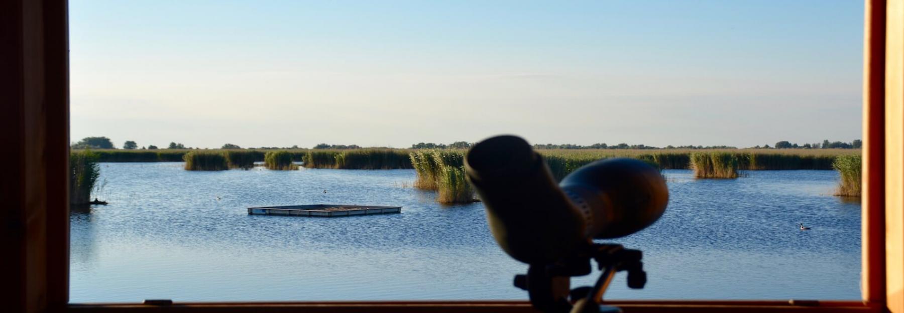 Ausblick vom Schilfsteg