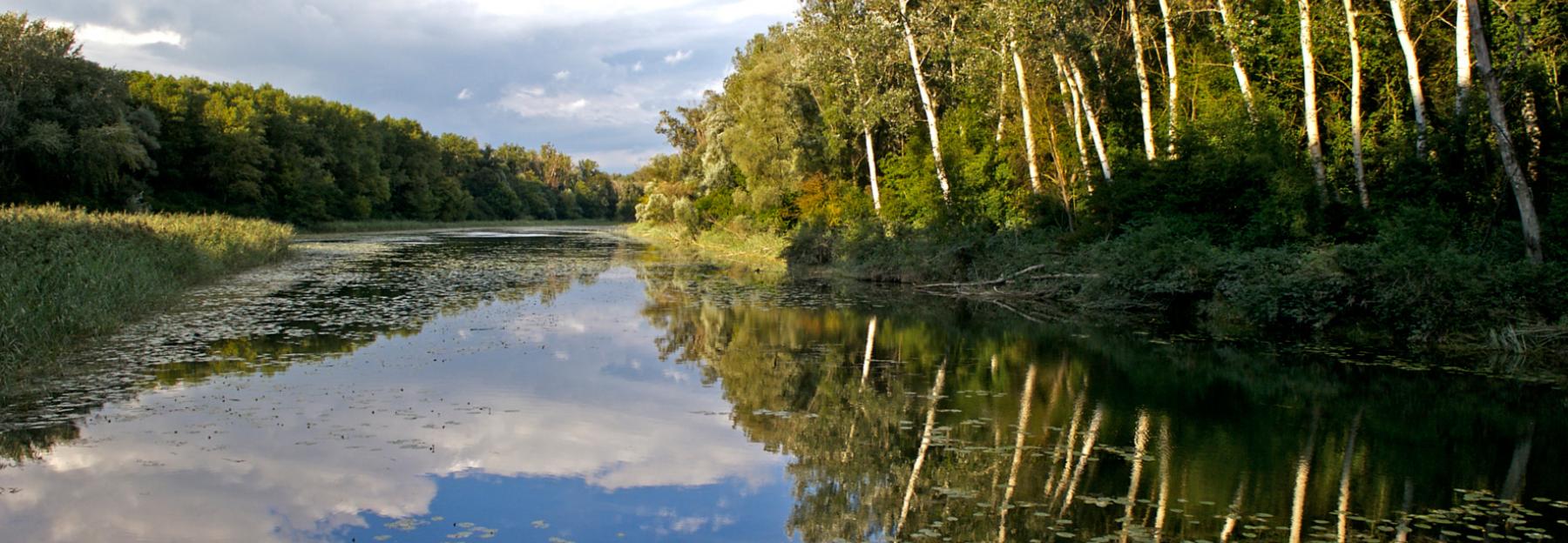 Altarm NP Donau-Auen