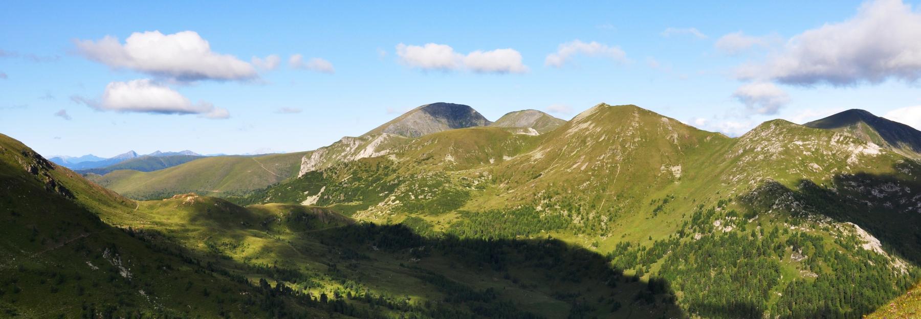 Blick vom Hohen Steig zum Rosennock - Lizenz- Heinz Mayer