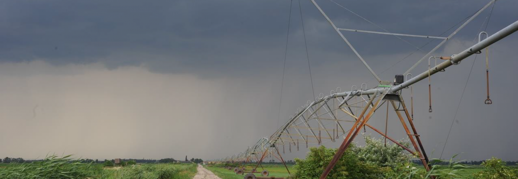 Seewinkel zwischen Landwirtschaft und Naturschutz