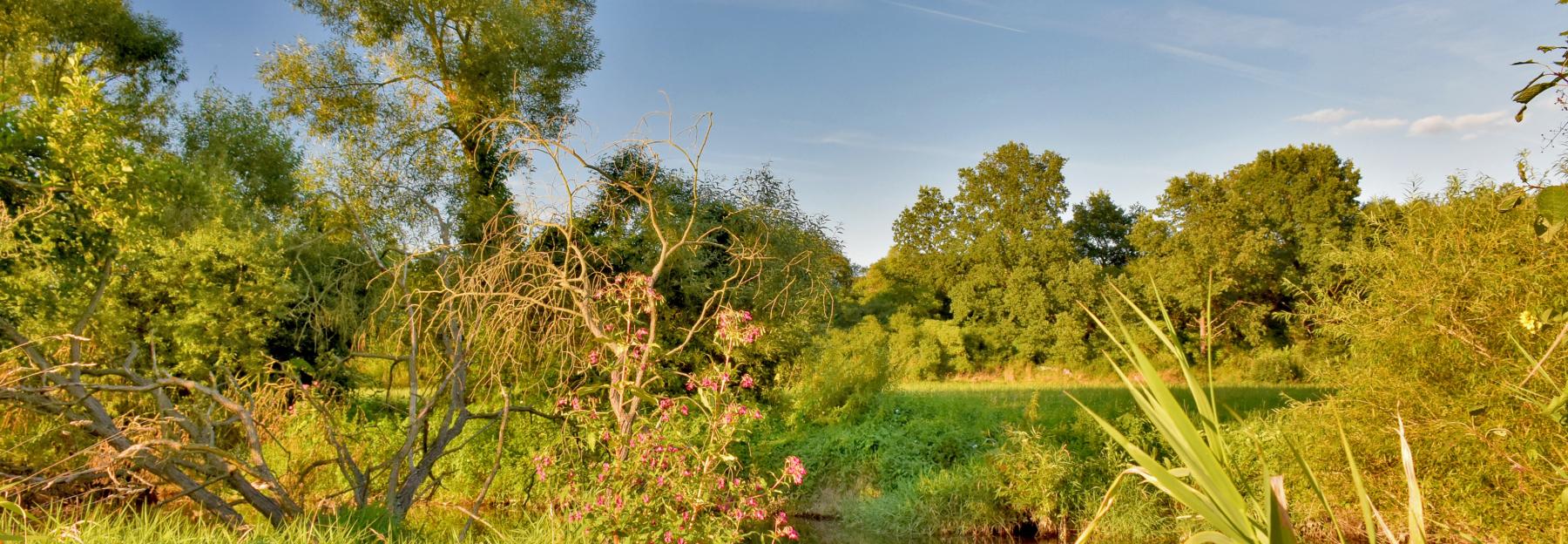 Naturpark Dobersberg