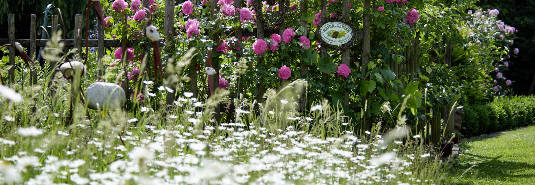 Natur Im Garten Bluhendes Osterreich