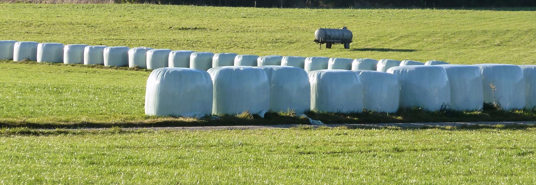 optische Beeinträchtigung des Landschaftsbildes durch Siloballen