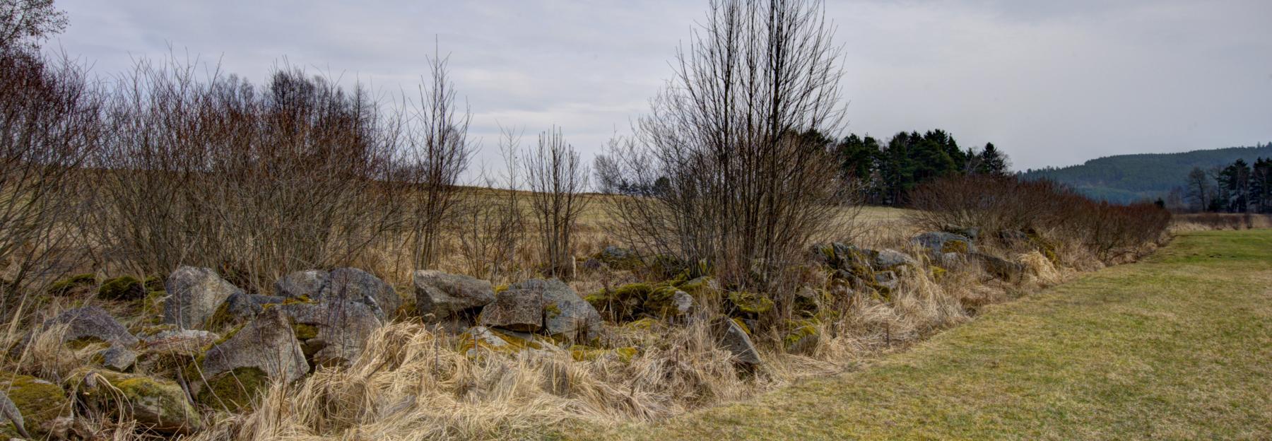 Lesesteinriegel wie hier im Waldviertel entstanden durch lange mühevolle Arbeit der Bauern.