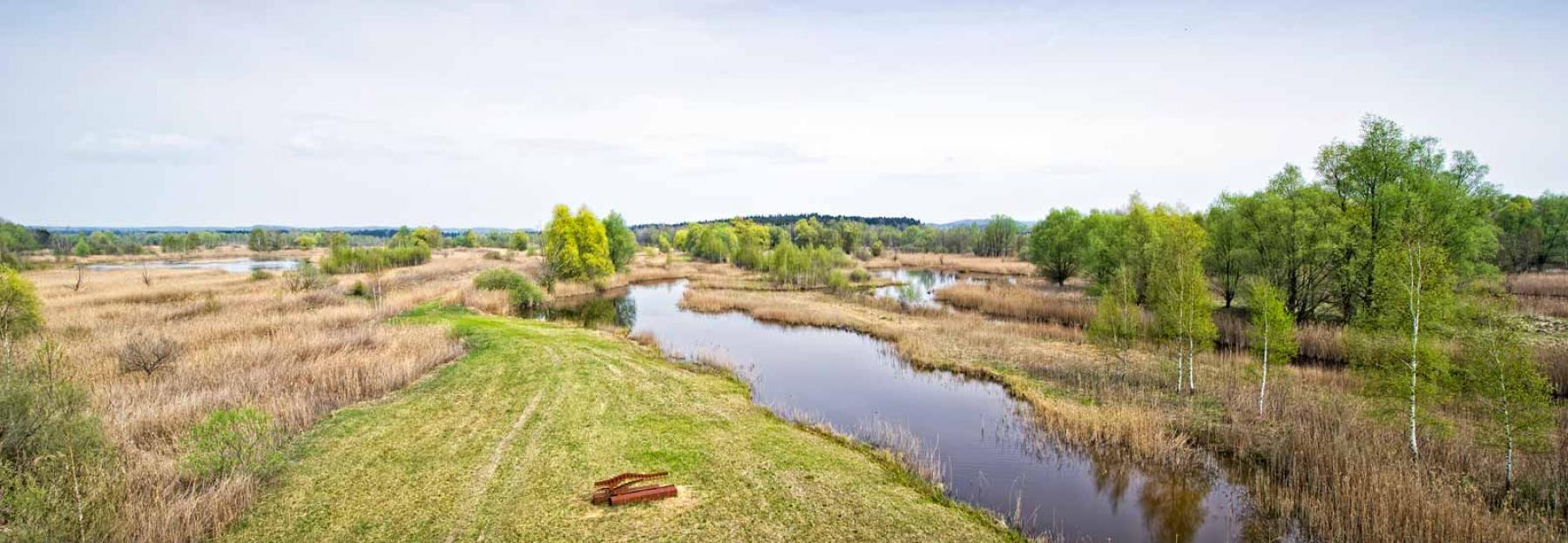 Moorlandschaft in Lamprechtshausen