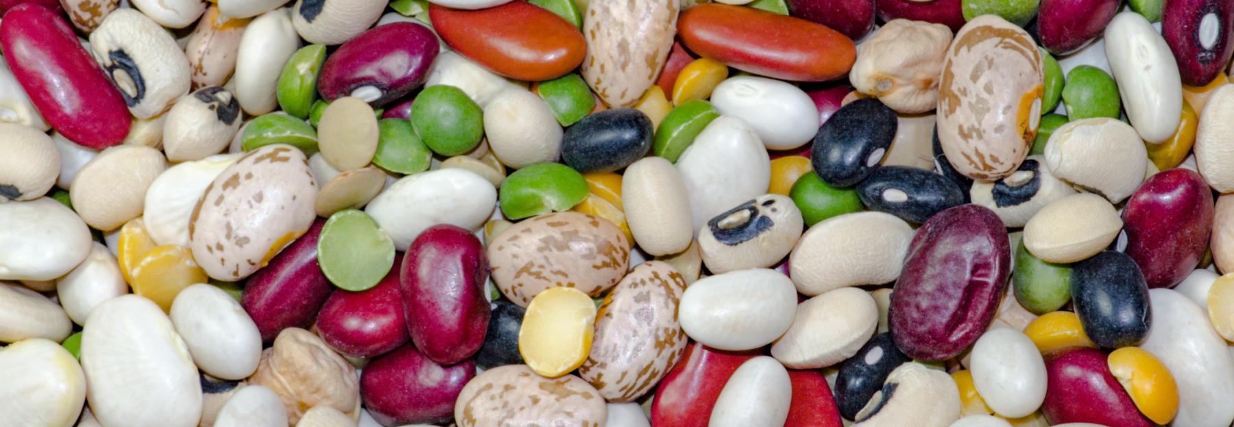 Mischung verschiedener Samen von Hülsenfrüchtlern, Bohnen, Erbsen in den Farben weiß, grün, schwarz, dunkelrot und gelb