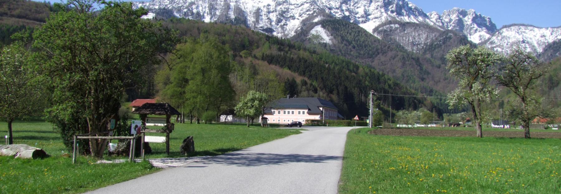 Blick von der Wiese "Himmelreich" zur Kremsmauer, im Hintergrund schneebedecktes Gebirge, im Vordergrund Wiese, Straße und Streuobstbäume