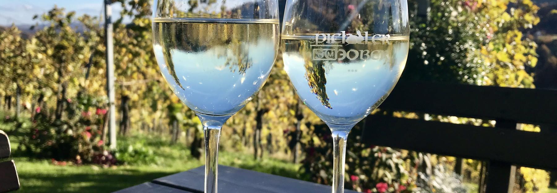 2 Weingläser auf einem Tisch, im Hintergrund Weingarten und blauer Himmel