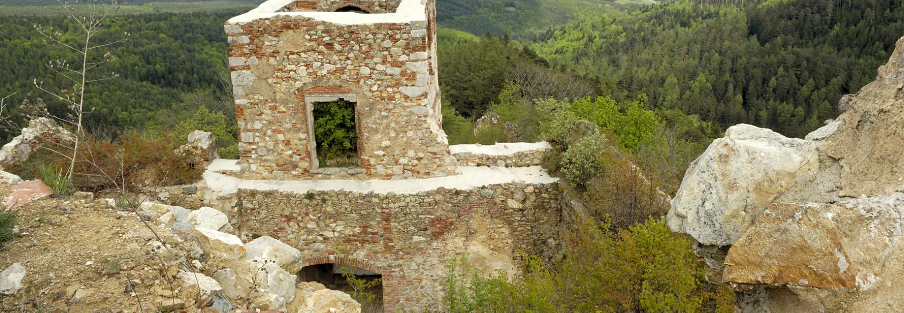 Ruine im Naturpark Landseer Berge