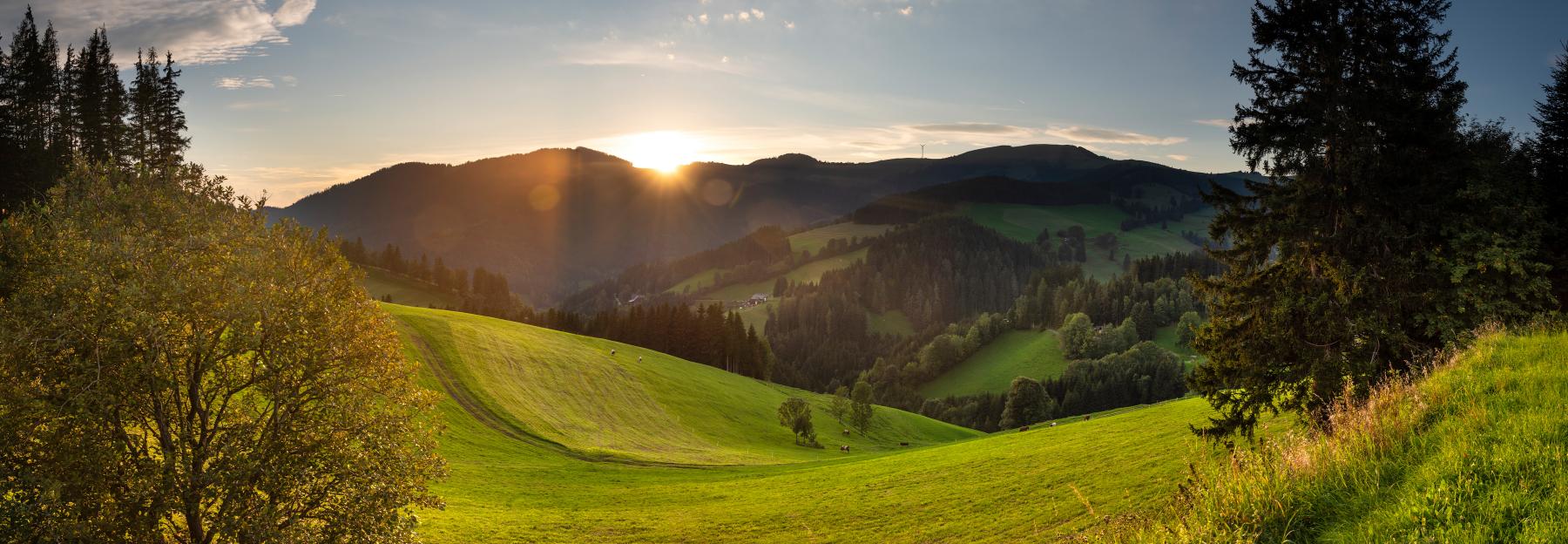 Panorama aus dem Naturpark Almenland, Wiesen und Wälder, sanfte Hügel im Hintergrund