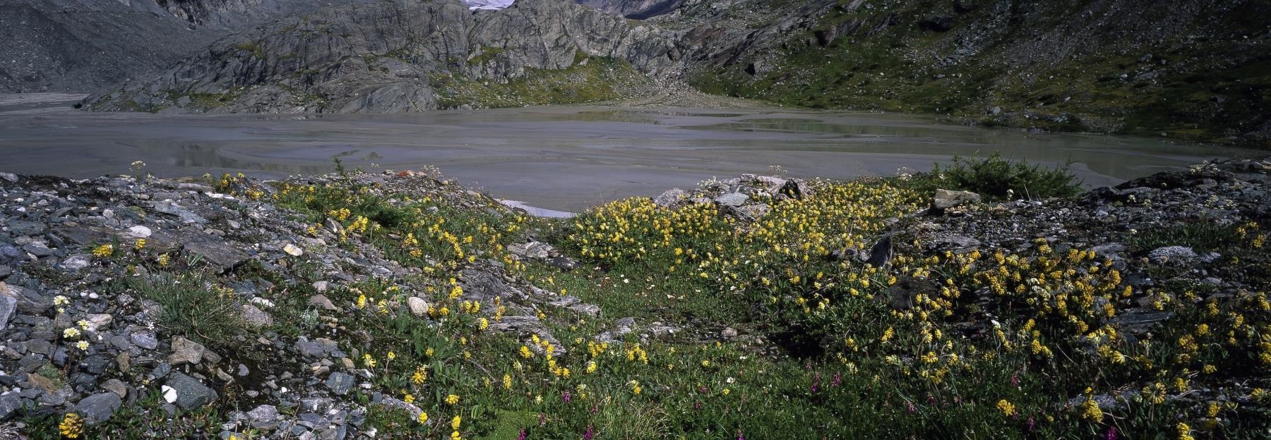 Gebirgslandschaft mit See im NP Hohe Tauern