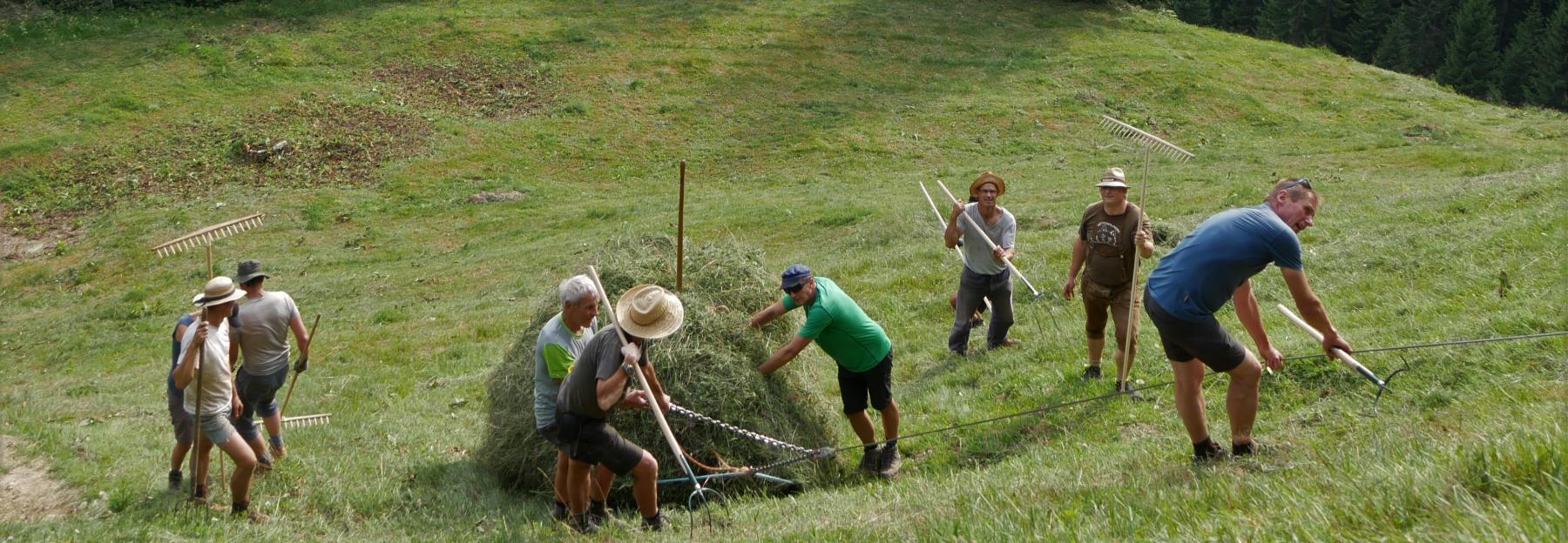 Blick auf die steile „Leitn“ der Bergmahd am Litzlsattel, HelferInnen im Einsatz 