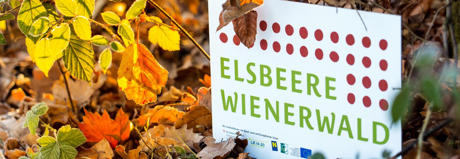 Schild "Elsbeere Wienerwald"