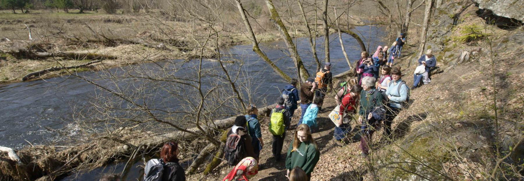 Naturschutzbund-Frühlingswanderung in das Naturparadies Kamptal