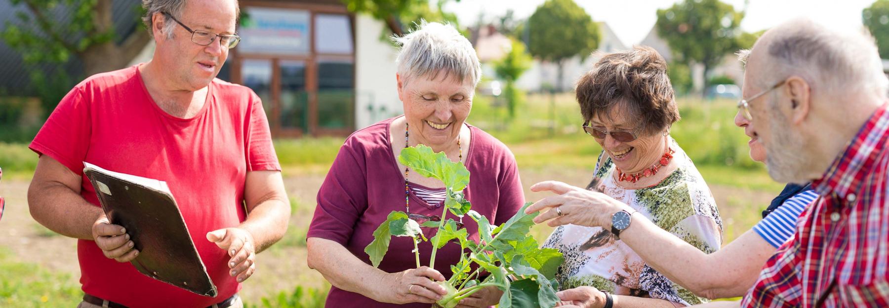 Menschen beim Austausch zu Gartenpflanzen