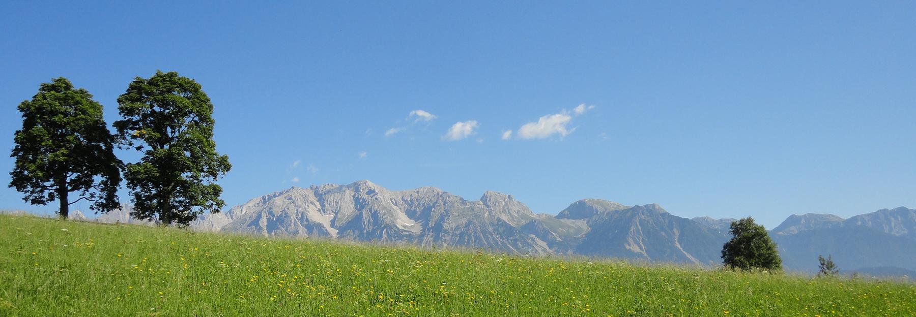 Wiese im Ennstal, im Hintergrund der Dachstein