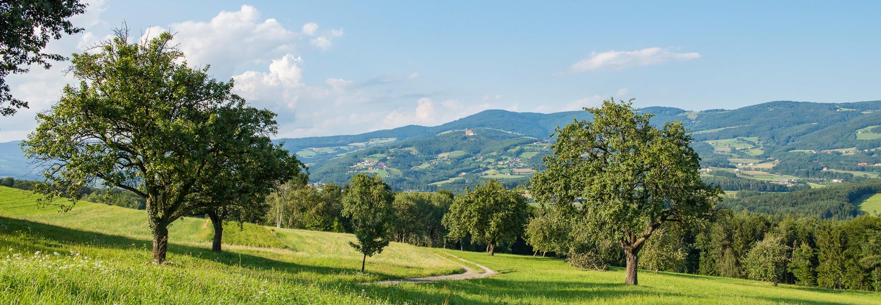 Landschaft im Naturpark Pöllauer Tal