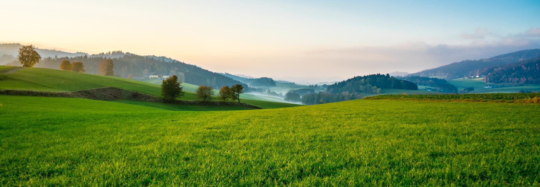 Landschaft