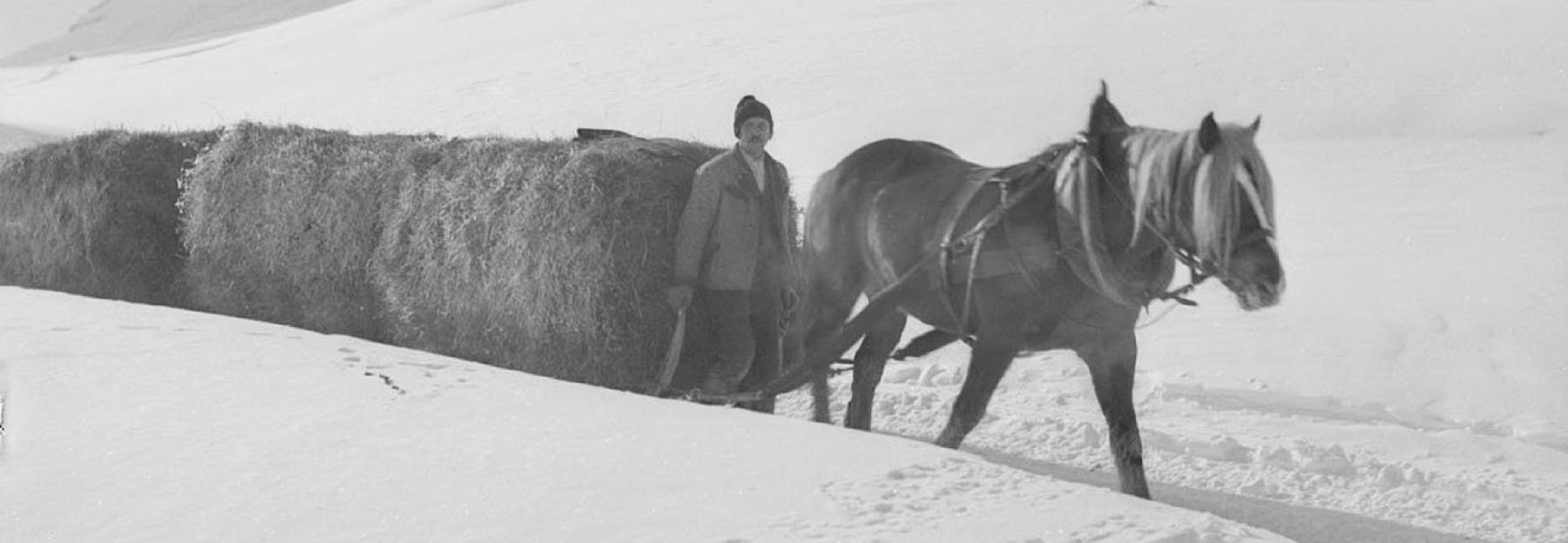 Heutransport mit Schlitten im Winter