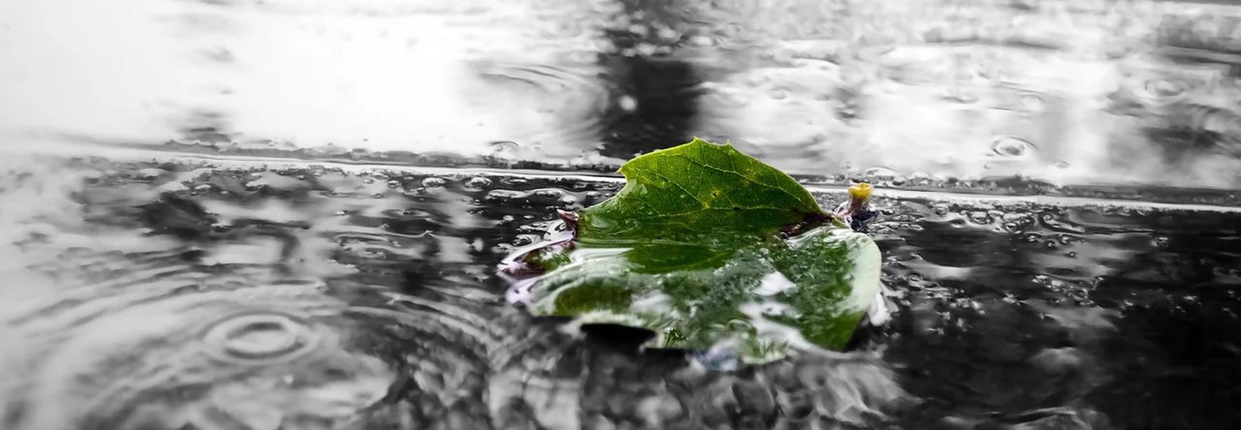 Regenlacke
