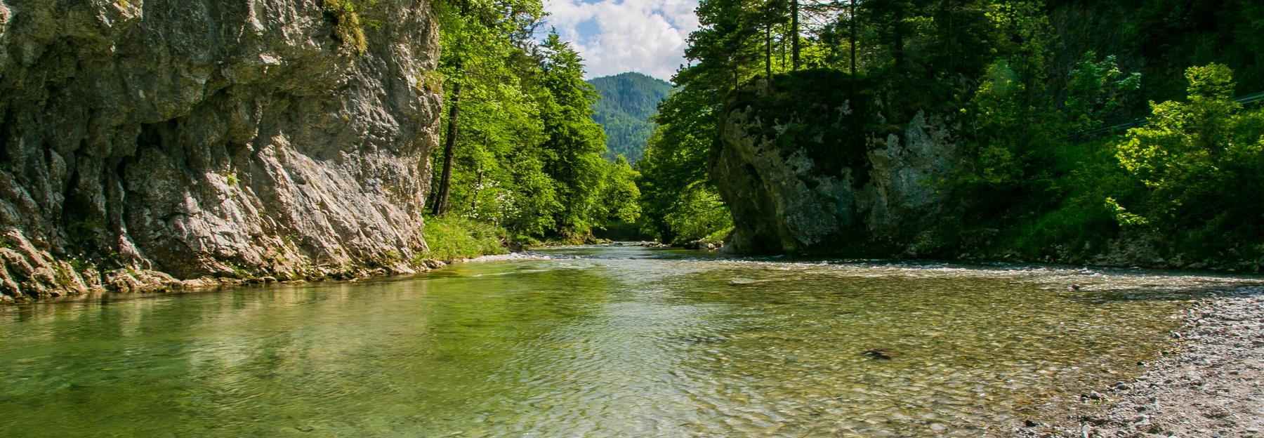 Idyllischer Flußlauf im Naturpark Mürzer Oberland