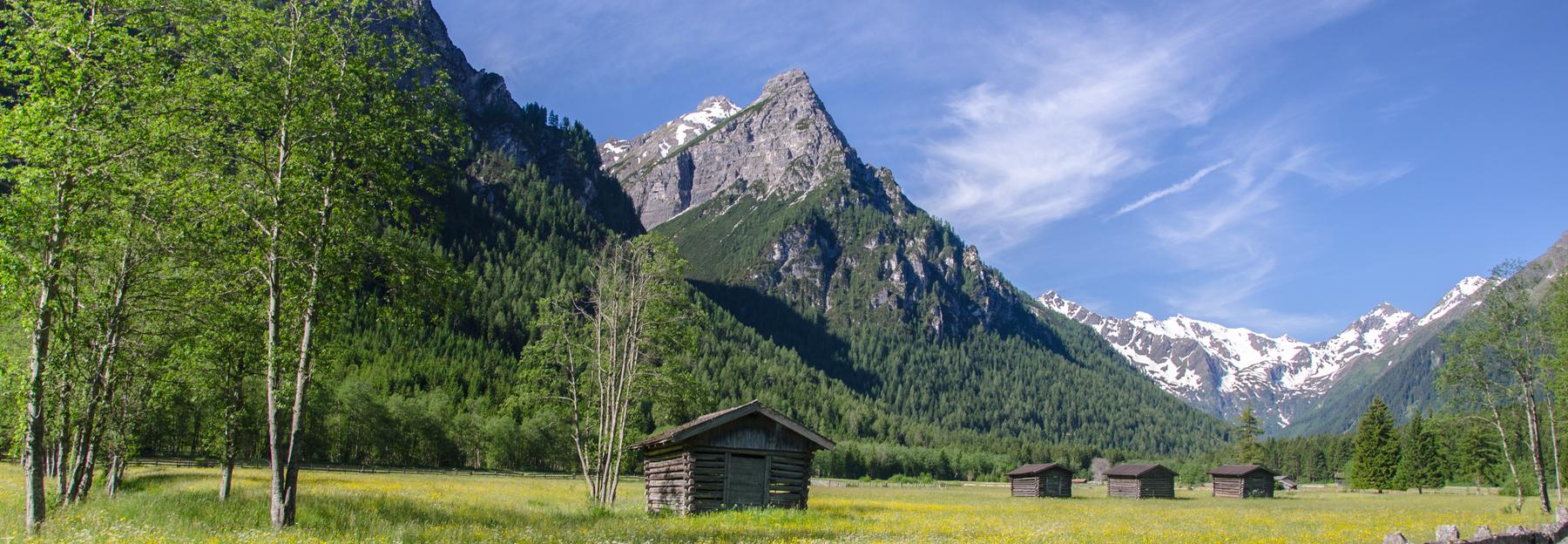 Lahnwiesen Gschnitztal