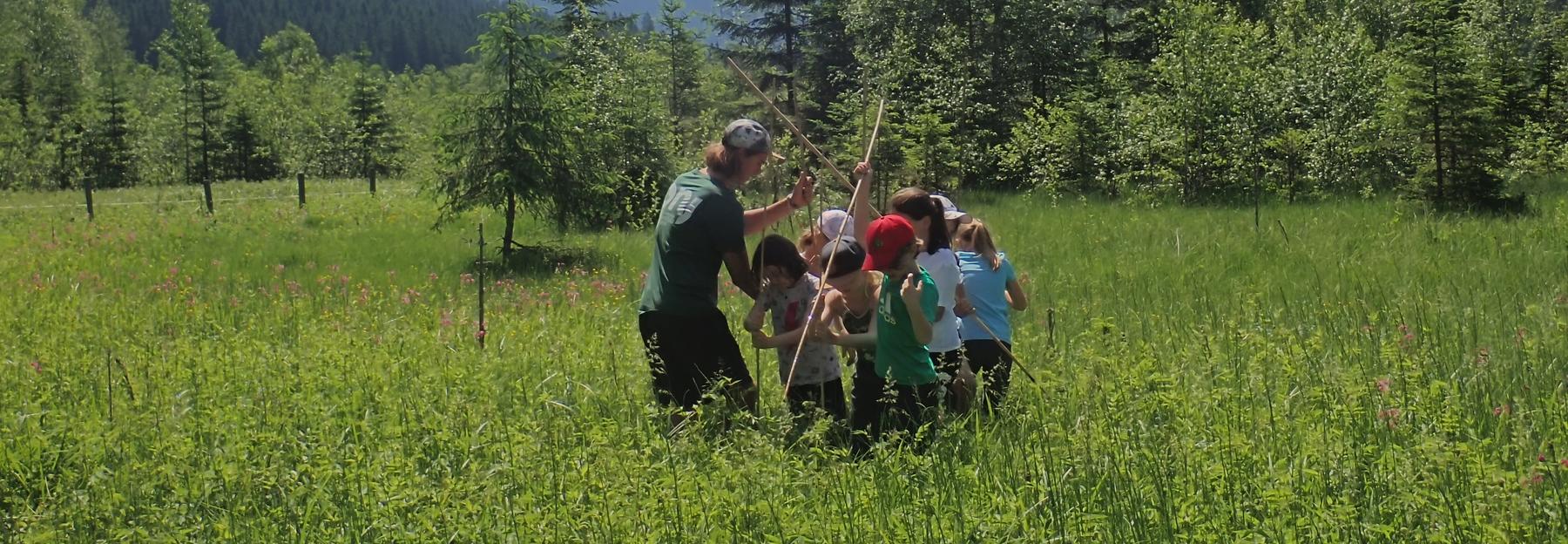 Kindergruppe beim Erforschen einer Feuchtwiese