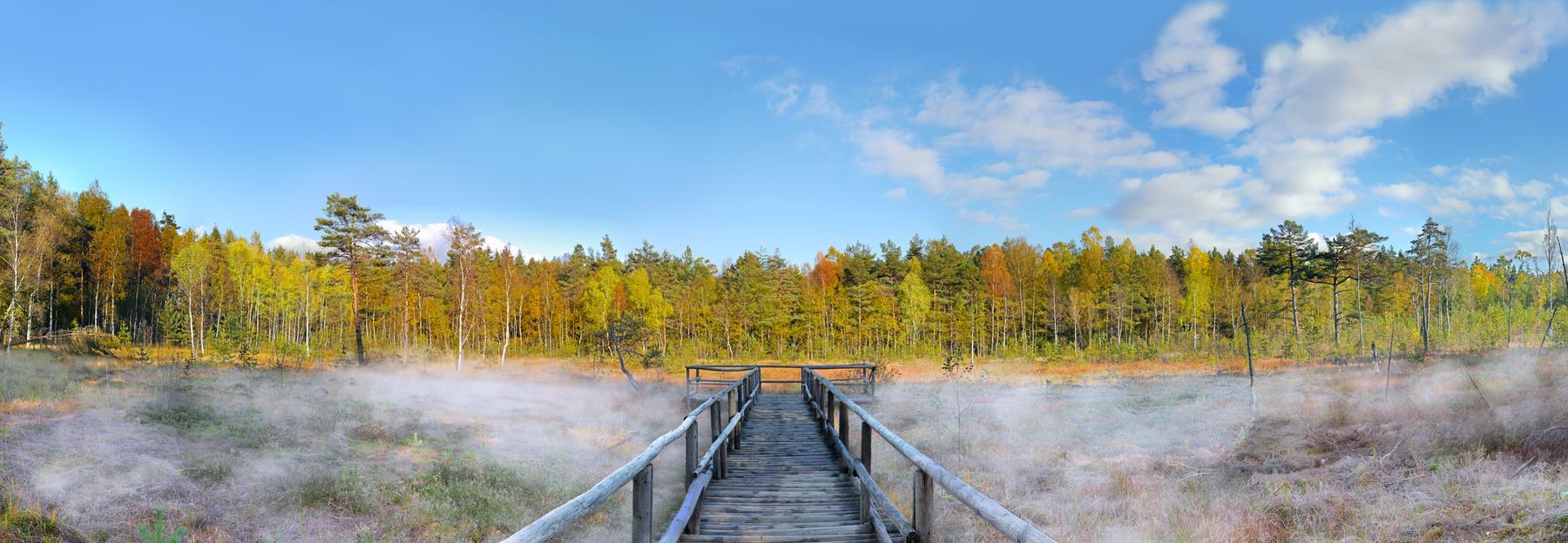 Holzsteg ins Heidenreichsteiner Moor